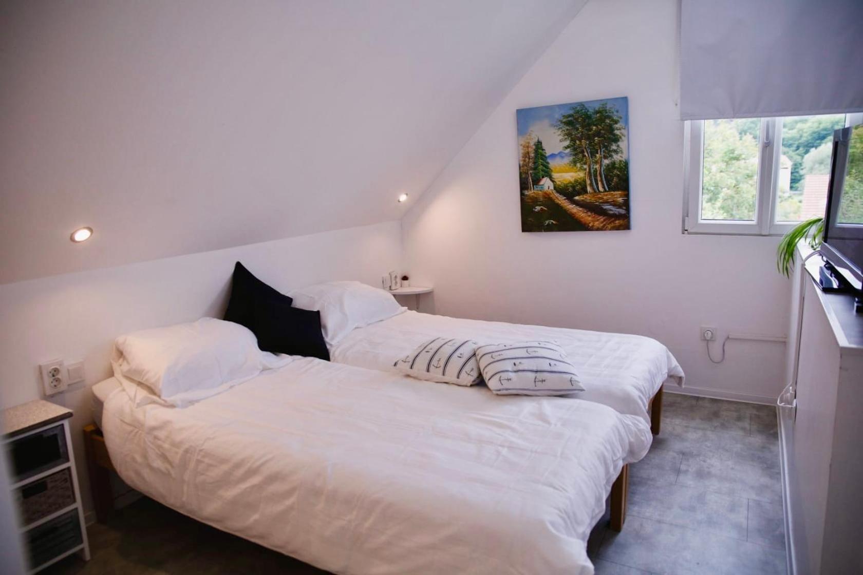 Apartments Dajcic Varazdinske Toplice Exteriör bild